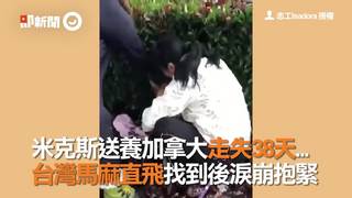 米克斯送養加拿大走失38天...　台灣馬麻直飛找到後淚崩抱緊