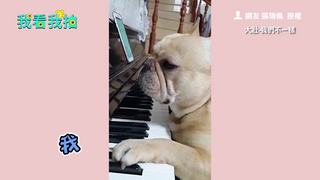 最狂音樂才狗法鬥 帶來一首我們不一樣