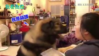 高加索狂親馬麻