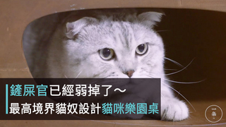 一条-鏟屎官已經弱掉了～ 最高境界貓奴設計貓咪樂園桌