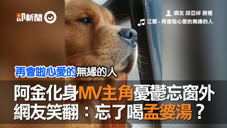 阿金化身MV主角憂鬱忘窗外　網友笑翻：忘了喝孟婆湯？