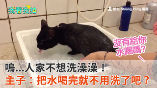 嗚...人家不想洗澡澡！ 主子：把水喝完就不用洗了吧？