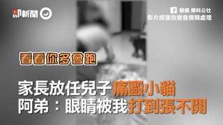 家長放任兒子痛毆小貓　阿弟：眼睛被我打到張不開