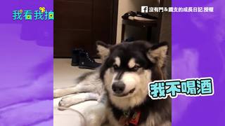 汪汪好男人 逼酒就森77