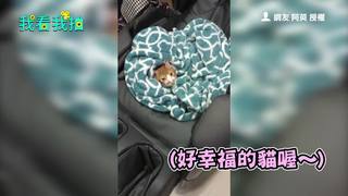 幸福喵星人 溫暖窩窩在棉被裡