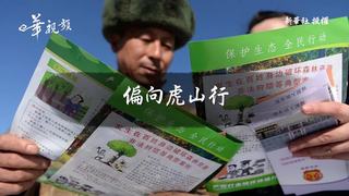 圖片說故事：偏向虎山行