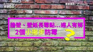 牆壁、壁紙長霉點...達人教你這樣清除！ 2個小撇步防霉