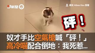 奴才手比空氣槍喊「砰！」　高冷喵配合倒地：我死惹...