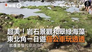 超美！岩石景觀和翠綠海藻　東北角一日遊搭公車玩透透