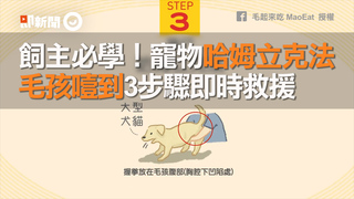 飼主必學！寵物哈姆立克法　毛孩噎到3步驟即時救援
