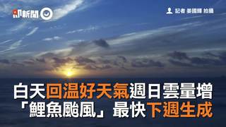 白天回溫好天氣週日雲量增　「鯉魚颱風」最快下週生成