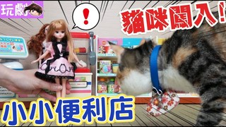 妞妞TV-貓咪亂入!小小便利店