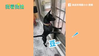 豆花阿伯叫賣 米克斯以為是叫自己