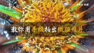 新華長知識：教你用手機拍出微距照片