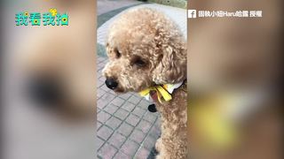 垃圾車來了！宣傳大使高喊招笑聲