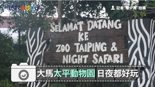 大馬太平動物園 日夜都好玩