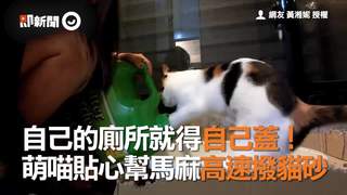 自己的廁所就得自己蓋！　萌喵貼心幫馬麻高速撥貓砂