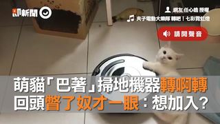 萌貓「巴著」掃地機器轉啊轉　回頭瞥了奴才一眼：想加入?
