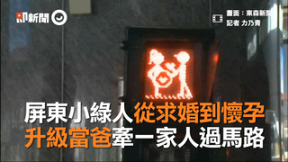  屏東小綠人從求婚到懷孕　升級當爸牽一家人過馬路