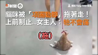 貓咪被「項圈勒脖」拖著走！　上前制止...女主人：牠不會痛