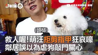 救人喔！萌汪拒剪指甲狂哀嚎　鄰居誤以為虐狗敲門關心