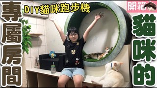 妞妞TV-【開箱】DIY貓咪跑步機,雪卷花卷的房間開箱