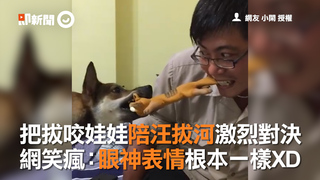 把拔咬娃娃陪汪拔河激烈對決 網笑瘋：眼神表情根本一樣XD