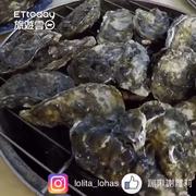 板橋夏日限定！每人200元「東港直送鮮蚵」吃到飽