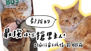 全台手播-最強小三搶男主人！邵庭污家毛孩情人節聯萌