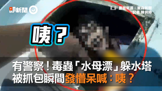 有警察！毒蟲「水母漂」躲水塔　被抓包瞬間發懵呆喊：咦？