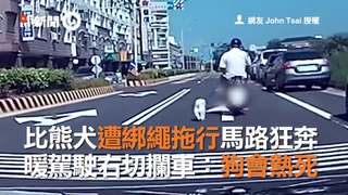 比熊犬遭綁繩拖行馬路狂奔  暖駕駛右切攔車：狗會熱死