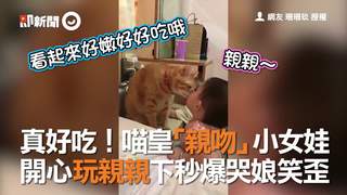 真好吃！喵皇「親吻」小女娃　開心玩親親下秒爆哭娘笑歪