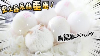 《倉鼠人》史上最呆萌蛋蛋!萌萌亂入!