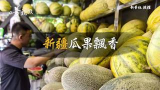 圖片說故事：新疆瓜果飄香