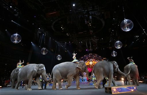美國最老牌的馬戲團玲玲馬戲團，宣布將在2018年全面停用大象馴器。（圖／達志影像／美聯社）