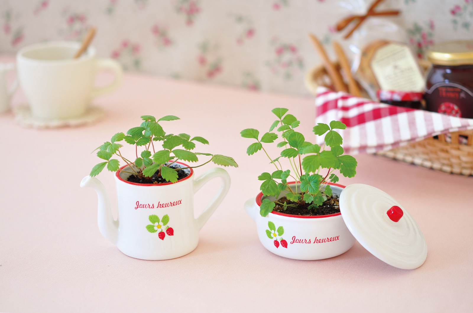 在辦公室吹冷氣也能當農夫療癒小植栽種出下酒菜 Ettoday消費新聞 Ettoday新聞雲