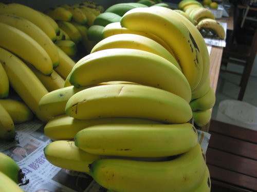 五月天吃香蕉，免費千萬代言，蕉農：非常感恩