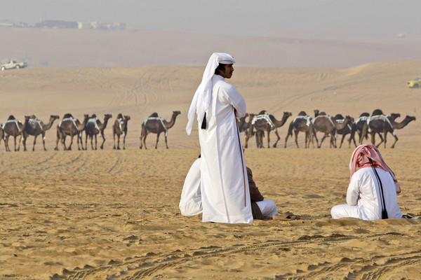 小駱駝都染MERS！沙烏地阿拉伯確診1029人　死亡452人（圖／達志影像／美聯社）