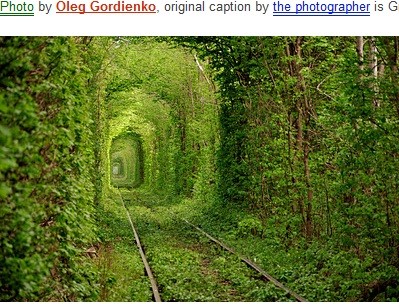 烏克蘭綠色隧道(圖／取自www.damncoolpictures.com)