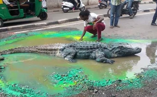 印度,馬路,坑洞,藝術家,鱷魚,鱷魚潭