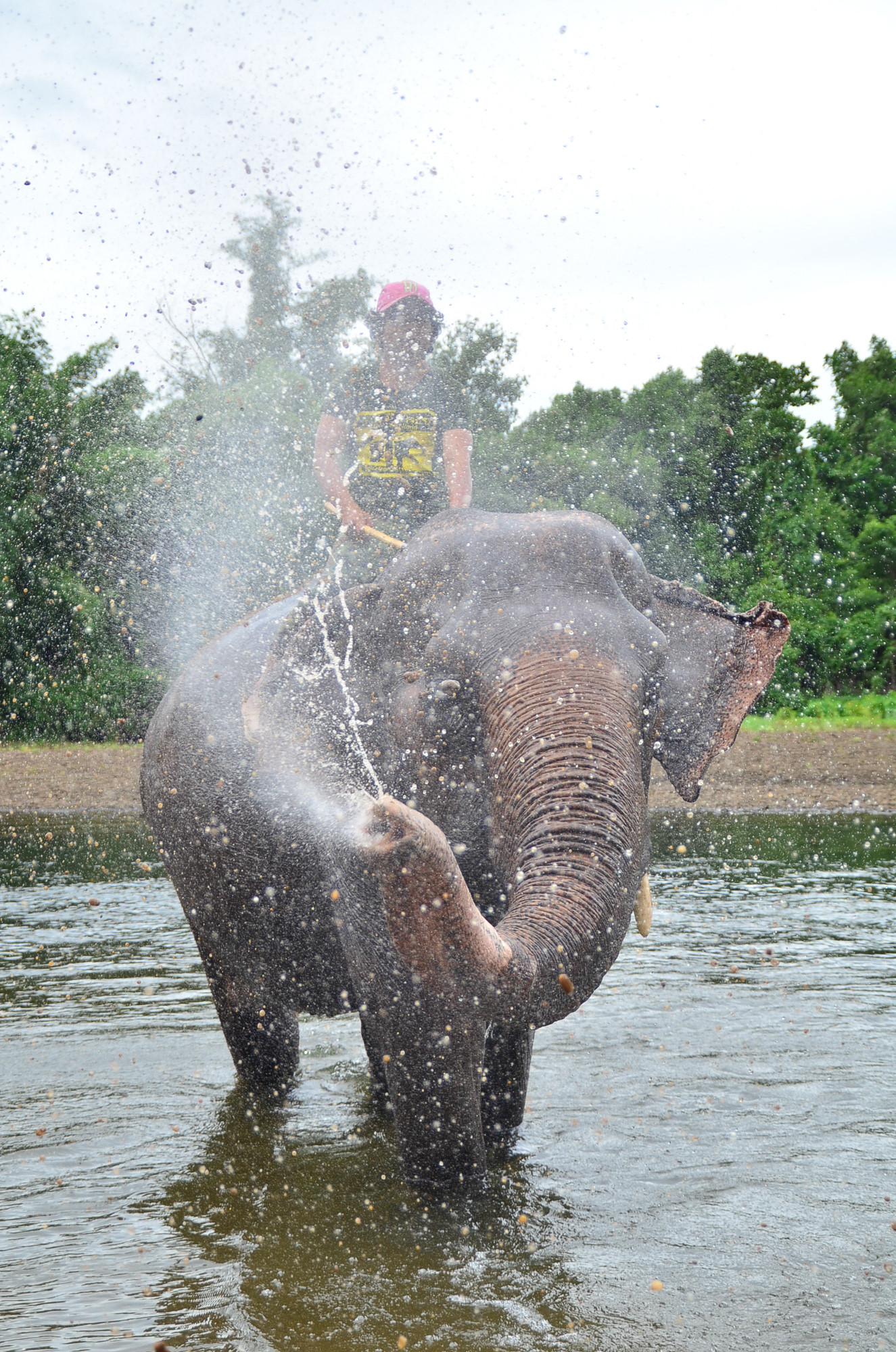 泰國大象世界（圖／記者陳姿吟攝）