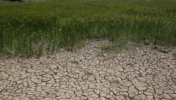泰國歷經50年來最強旱災。（圖／達志影像／美聯社）