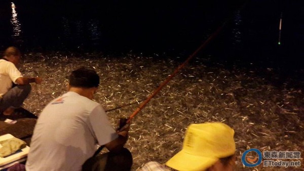 ▲大量魚群湧現，讓釣客嚇傻。（圖／臉書花蓮爆料王提供）