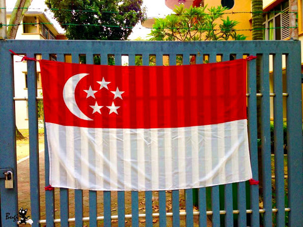 白红白横条国旗图片