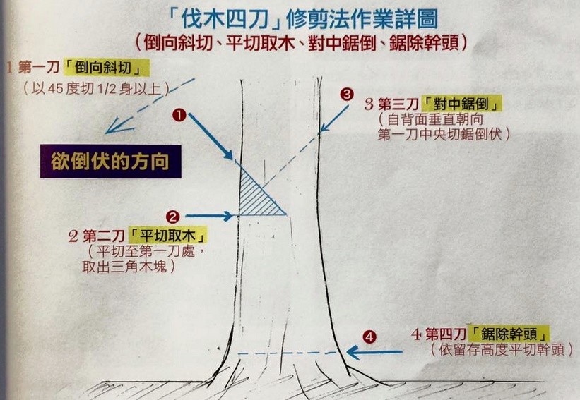 锯大枝的三锯法图解图片