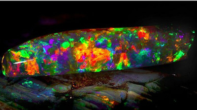 稀有蛋白石「處女彩虹」　前身竟然是恐龍？
