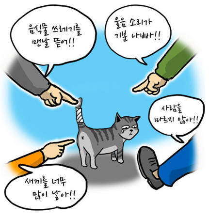 韓國漫畫家出點子 街貓餵食小站 實施2年擴張3倍 Ettoday寵物雲 Ettoday新聞雲