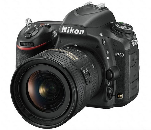 【廣編】Nikon頂級全幅機D750 & D810狠降萬元(圖／國祥貿易提供)