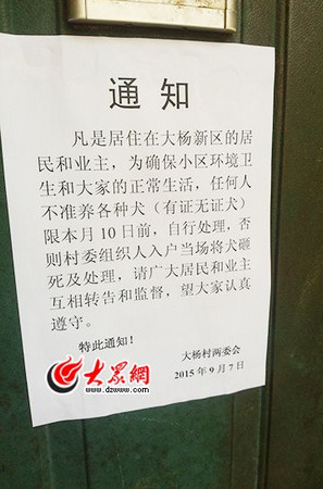 ▼大楊新區村委會7日貼出公告。（圖／翻攝自大眾網）