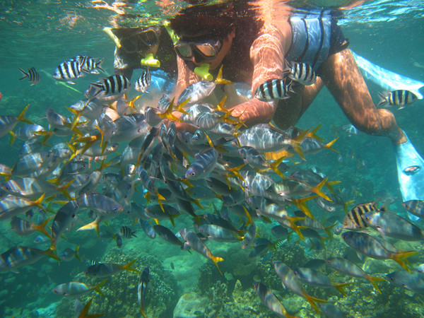 帛琉潛水樂趣多